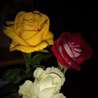 Розы с чудесным ароматом :: Татьяна 