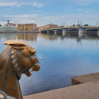 грифон, взирающий на Благовещенский мост Санкт-Петербурга :: юрий затонов