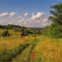 "Лето. По дороге к реке"© :: Владимир Макаров