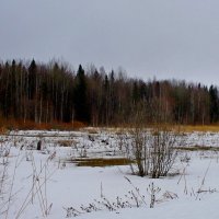 МОЯ ДЕРЕВНЯ, окрестности. :: Виктор Осипчук