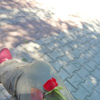 А розы всё цветут :: Юлия Степанова