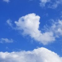 Облако в форме животного в голубом небе. :: Светлана Хращевская