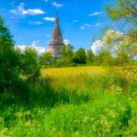 летний пейзаж :: Moscow.Salnikov Сальников Сергей Георгиевич