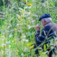 На рыбалке среди зарослей камыша :: Анатолий Клепешнёв