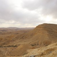Пустыня Негев, Израиль :: NellaYug 