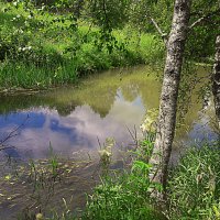 речка Мелёжа :: Любовь 