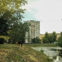 Прогулка вдоль озера Воронцовского сквера :: Роман Алексеев