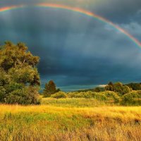 summer with a rainbow :: Elena Wymann
