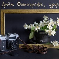 Друзья, примите самые искренние поздравления с Днём фотографа! :: Олег Меркулов