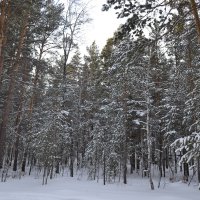 Спасительная ясность бытия зимы. :: Андрей Хлопонин