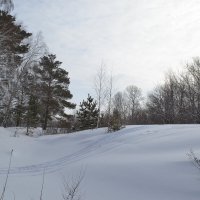 Лыжная горка,в  Каркаралинских лесах. :: Андрей Хлопонин