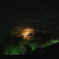 чайки) ночь луна :: Вадим Кузнецов