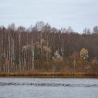 МОЯ ДЕРЕВНЯ, на речке. :: Виктор Осипчук