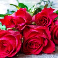 Красные розы :: Андрей Божков