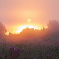 Сегодняшнее фантастическое утро в Ухте, восход оранжевого солнца сквозь сильный туман :: Николай Зиновьев