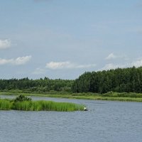 Смоленщина в августе. (Из поездок по области). :: Милешкин Владимир Алексеевич 