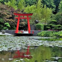 Японский сад :: Владимир Манкер