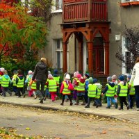 Детский сад на прогулке :: Сергей Карачин