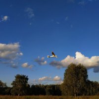 Небо - чтобы летать! :: Андрей Лукьянов