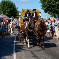 Вишнёвый фестиваль в г. Глубокое РБ :: Валерий 