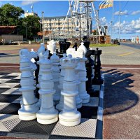 Уличные шахматы. :: Валерия Комова