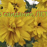 Цветы из детства моего! :: Валентина  Нефёдова 