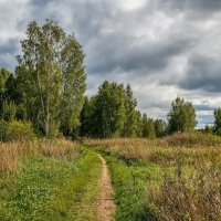 Дорога в осень ... :: Андрей Дворников