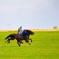 Кокпар :: ЕРБОЛ АЛИМКУЛОВ