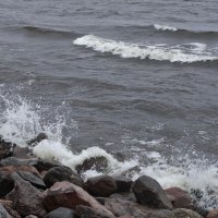 волнение Финского залива :: Елена 