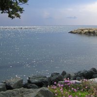 Кипр, море :: ZNatasha -