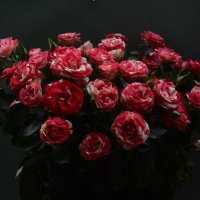 розы,розы.... :: Галина R...
