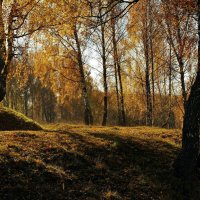 Осень рыжею лисицей пробежала по лесам... :: Людмила Alex