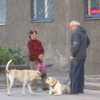 При встрече двух людей сначала встречаются "невидимые собачки" - их души... :: Alex Aro Aro Алексей Арошенко