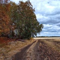 Бродит Осень, подруга Печали! :: Елена Хайдукова  ( Elena Fly )