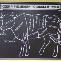 Памятка «директора чурки» (телята, коровы, быки, волы) :: Михаил Андреев
