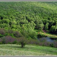 Кумысная поляна :: Руслан Сорочинский