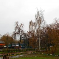 Дождь на ул.1905г. :: Игорь Чуев