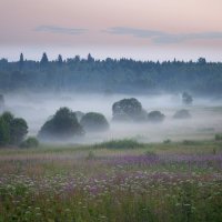 В тумане :: Оксана 