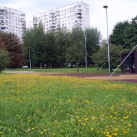 Москва. Парк Садовники. :: Владимир Драгунский