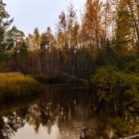 Осень... :: Оксана Галлямова