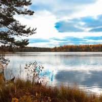 Озеро Заднее в осенних красках :: Алексей Шехин