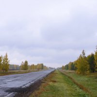 Осенняя дорога. :: сергей 