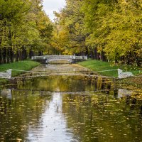 Осенний парк :: Ирина Соловьёва