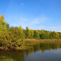 Солнечный день октября :: Андрей Снегерёв