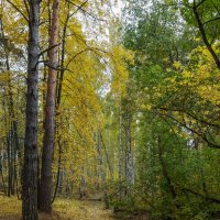 Октябрь в парке. :: Сергей Калужский