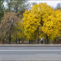 Улица Урицкого, октябрь :: Александр Тарноградский
