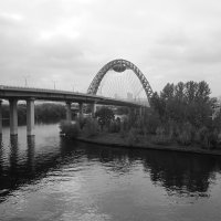 Живописный мост ... :: Лариса Корженевская