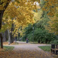 "Молча ложится осень листьями на пути..." :: Anatoly Lunov