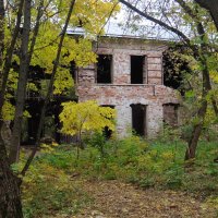 Руины бывшей померанцевой оранжереи в усадьбе. :: Люба 