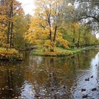 Александровский парк :: Наталья Герасимова